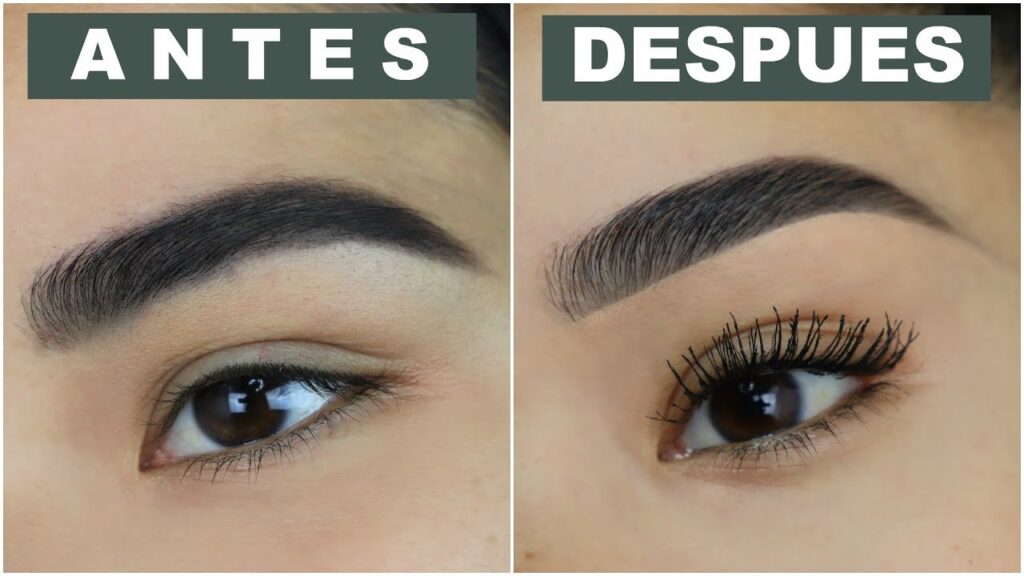 como arreglar las cejas que no tienen forma