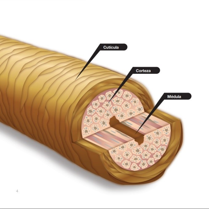 puede el tinte para el pelo causar dano al cabello