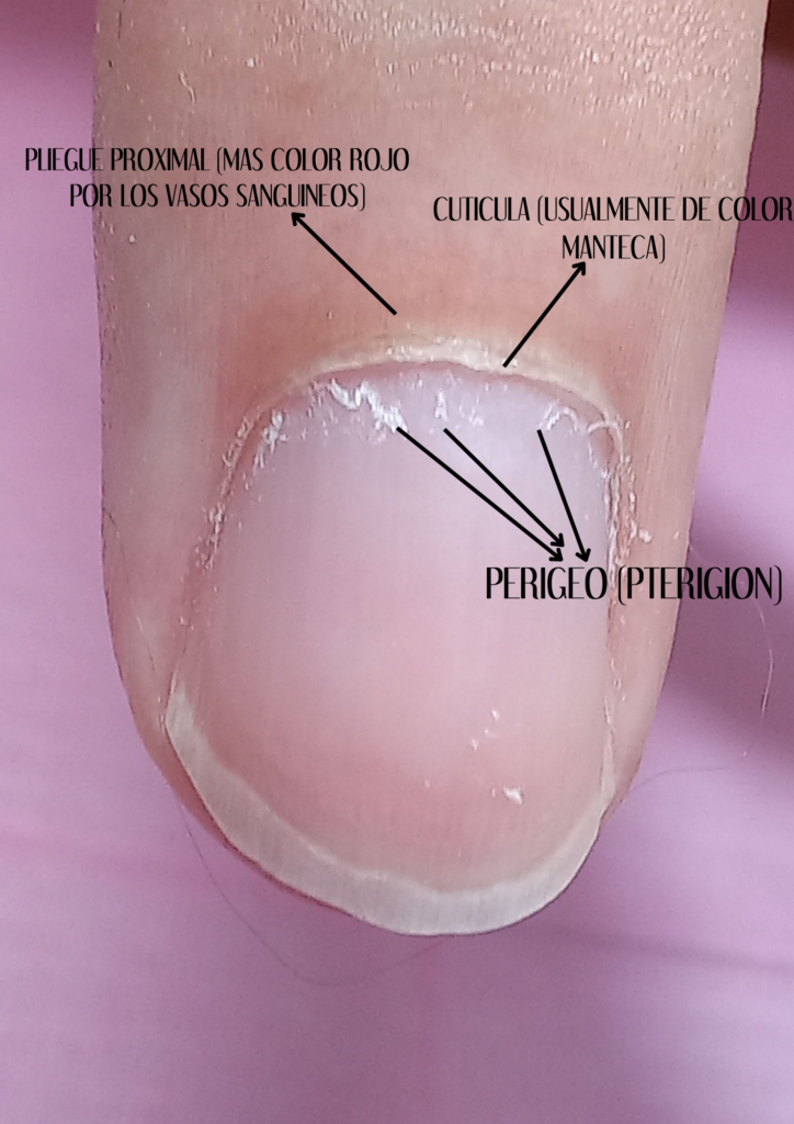 que es el perigeo de la una